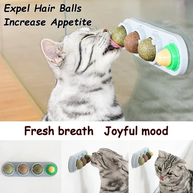 4-in-1 Catnip Dental Toy