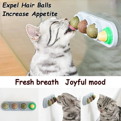 4-in-1 Catnip Dental Toy
