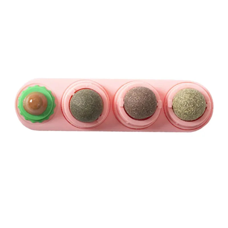 4-in-1 Catnip Dental Toy