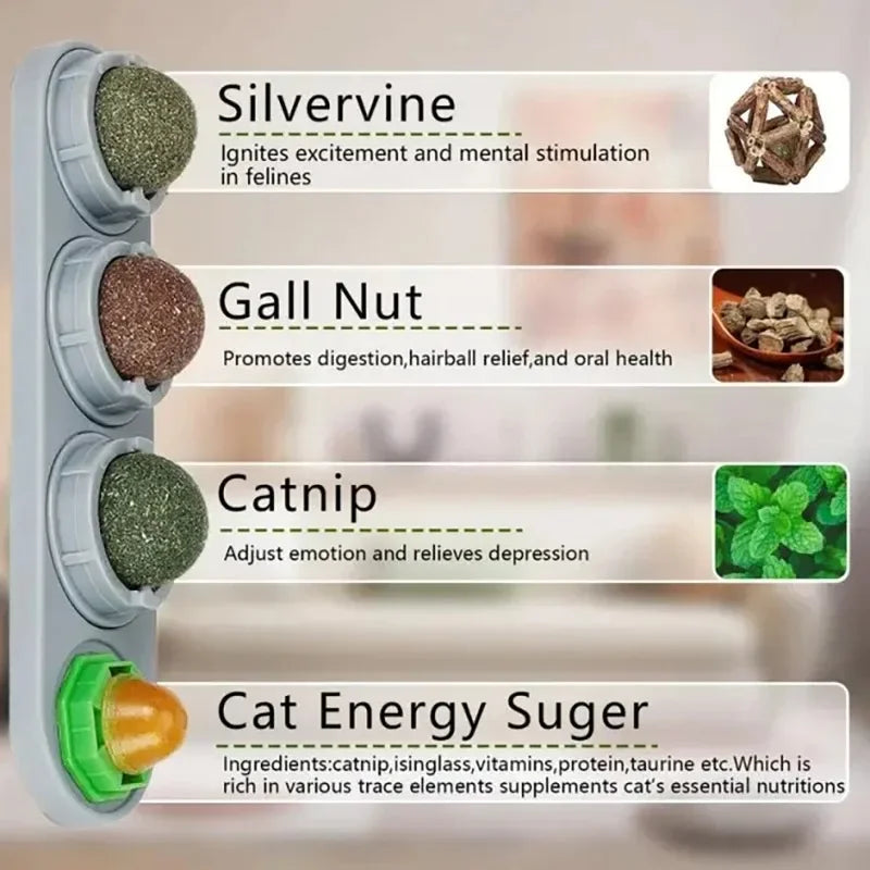 4-in-1 Catnip Dental Toy