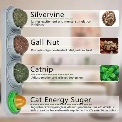 4-in-1 Catnip Dental Toy