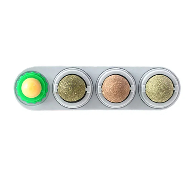 4-in-1 Catnip Dental Toy