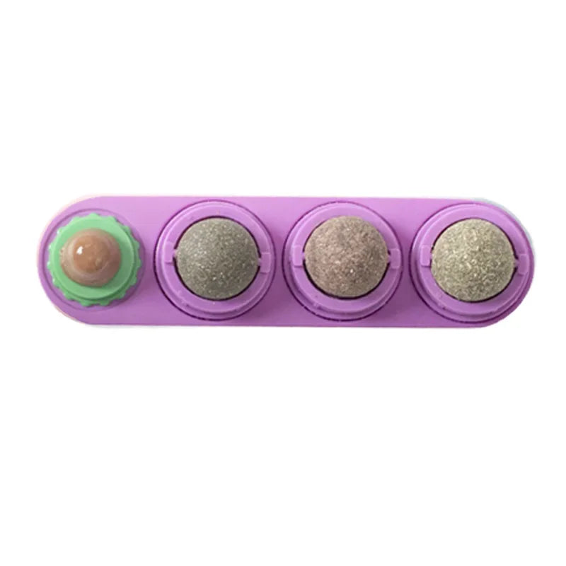 4-in-1 Catnip Dental Toy