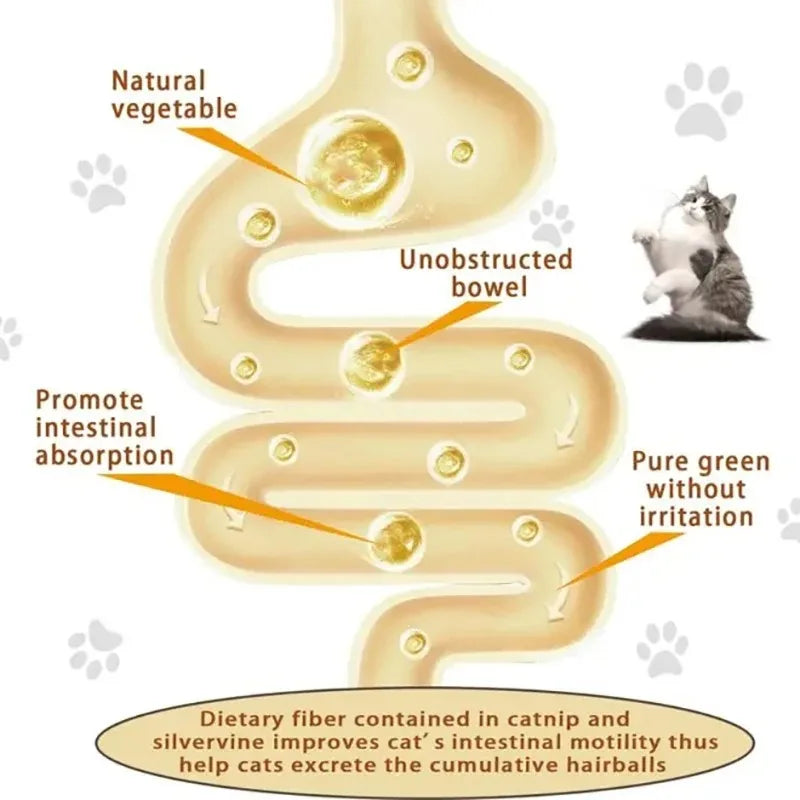 4-in-1 Catnip Dental Toy