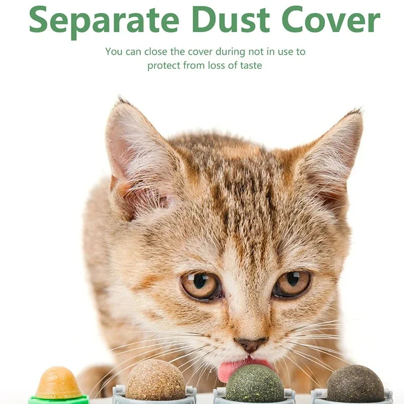 4-in-1 Catnip Dental Toy
