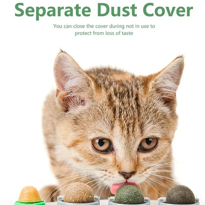 4-in-1 Catnip Dental Toy