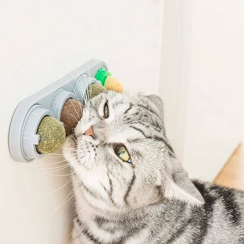 4-in-1 Catnip Dental Toy