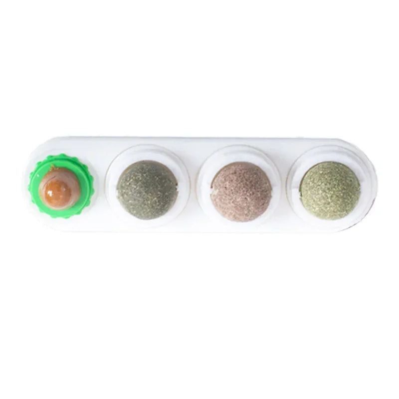 4-in-1 Catnip Dental Toy